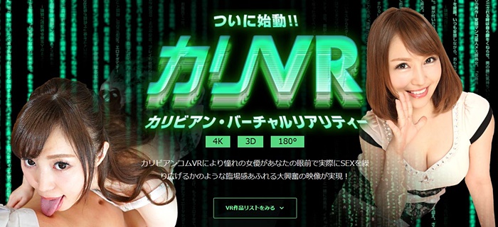 カリビアンコムVR動画
